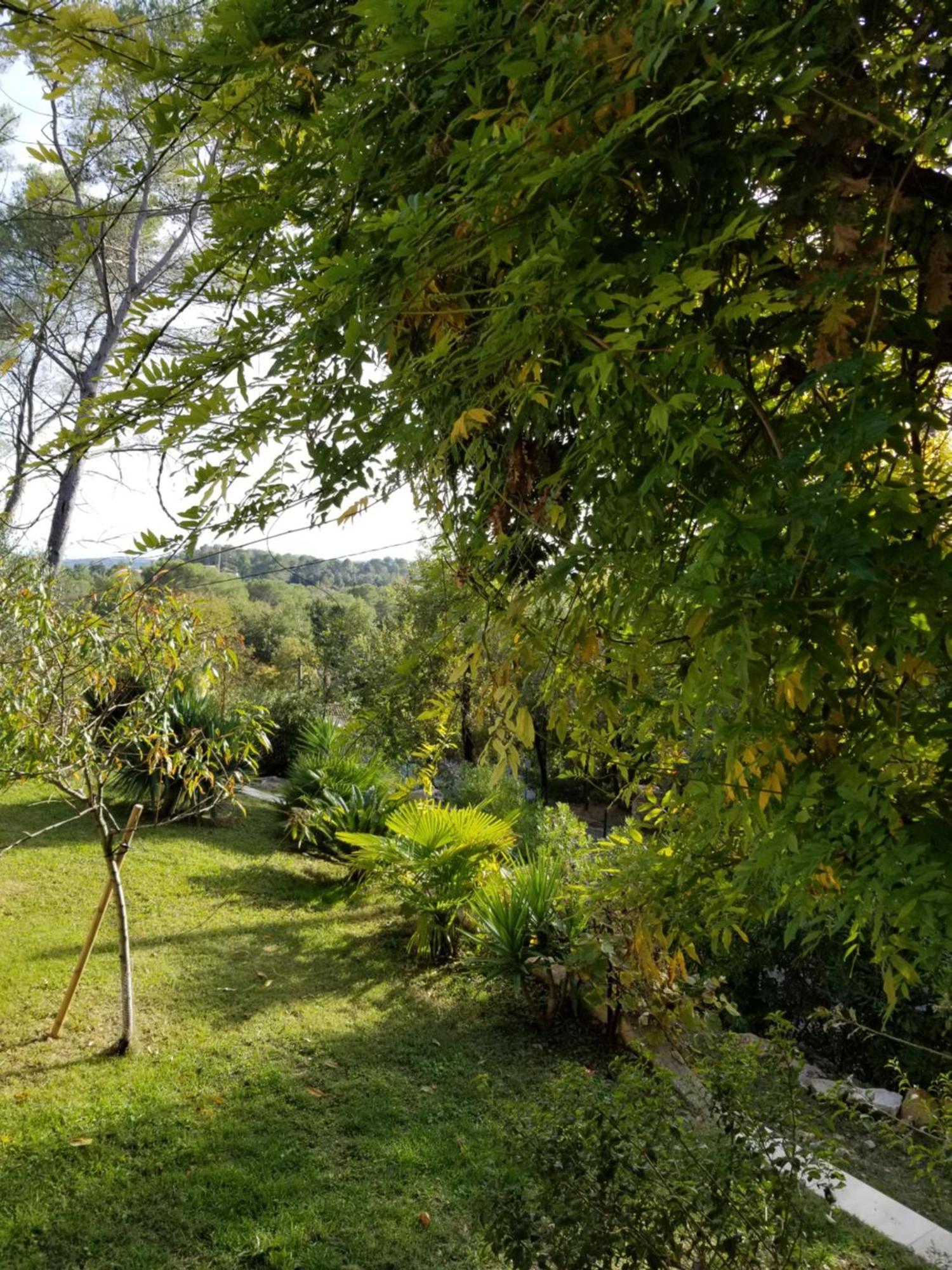 Bed and Breakfast Ô Tilia d'Azur à Roquefort-les-Pins Extérieur photo